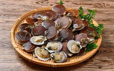 冷凍 稚貝ほたてのガンガン焼き 1.5kg 北海道噴火湾産 海産物 加工品 ほたて 帆立 ホタテ 魚介類 海鮮 森町 ふるさと納税 mr1-0981