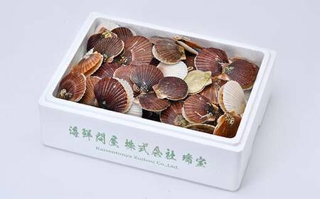 冷凍殻付き稚貝ほたて 3kg 北海道噴火湾産（段ボールまたは発泡入り） 海産物 加工品 ほたて 帆立 ホタテ 魚介類 海鮮 森町 ふるさと納税 mr1-0984