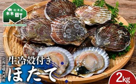 冷凍殻付きほたて(二年貝) 2kg 北海道噴火湾産（段ボールまたは発泡入り） 海産物 加工品 ほたて 帆立 ホタテ 魚介類 海鮮 森町 ふるさと納税 mr1-1169