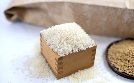 令和7年産 新米 ゆめぴりか 5kg 米 北海道森町濁川産 精米(10月上旬以降順次発送) 森町 こめ お米 米 白米 ゆめぴりか 北海道米 北海道産 北海道 mr1-1155