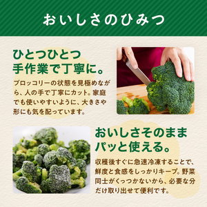 【3ヶ月定期便】小分け カット済み ブロッコリー 冷凍 1.2kg×3回 北海道森町産 野菜 おかず お弁当 便利 小分け カット済み ブロッコリー 冷凍 mr1-1005