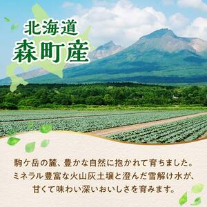 【12ヶ月定期便】カット済み野菜セット 1.5kg×12回 ブロッコリー かぼちゃ 北海道森町産 野菜 おかず お弁当 便利 小分け カット済み ブロッコリー かぼちゃ 冷凍 mr1-1015
