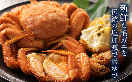 【ふるなびWEEK対象】【訳あり】北海道・噴火湾産冷凍ボイル毛ガニ約350g前後×2尾 ＜海鮮問屋　株式会社　瑞宝＞ かに カニ 蟹 ガニ がに 森町 ふるさと納税 北海道 毛蟹 毛かに 毛ガニ 毛カニ FN-Limited-PR mr1-1252