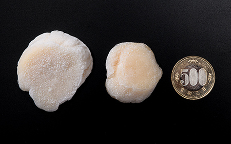 【訳あり】冷凍ホタテ貝柱 500g【旨味凝縮】 ＜ワイエスフーズ＞ 小分け チャック付き 海鮮丼 森町 魚貝類 帆立 ホタテ ほたて 魚介類 貝 ふるさと納税 北海道 mr1-1158