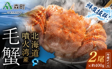 北海道・噴火湾産冷凍ボイル毛ガニ約400g前後×2尾<森水産加工業協同組合>