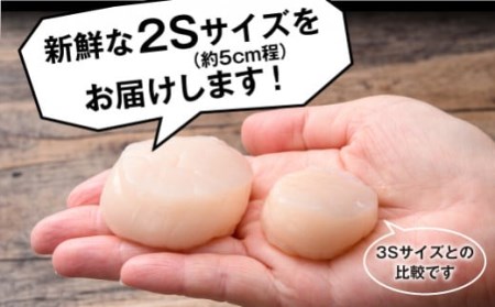 北海道噴火湾産】2Sサイズ冷凍ほたて貝柱（36～40個入り）1kg 海鮮丼