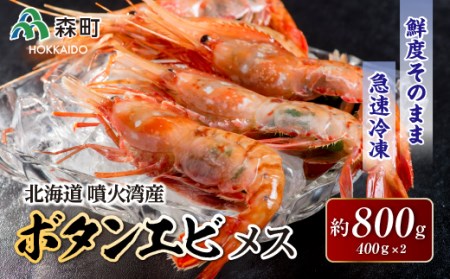 北海道噴火湾産ボタンエビメス大サイズ 400g 2 森水産加工業協同組合 えび エビ 海老 ぼたんえび ぼたん海老 ボタン海老 ボタンエビ ぼたんエビ ボタンえび 牡丹海老 北海道 北海道森町 ふるさと納税サイト ふるなび