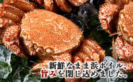 11/15～寄付額変更】前浜茹で毛がに3尾（約380～440g） ＜株式会社