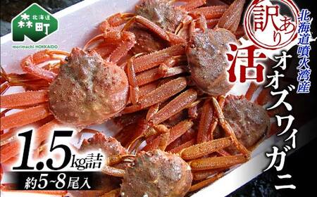 【先行予約】【訳あり】北海道噴火湾産活ずわいがに1.5kg(2023年7月上旬~2023年8月下旬発送) <道産ネットミツハシ> かに カニ 蟹 ガニ がに 森町 ふるさと納税 北海道 ずわいがに F4C-0435