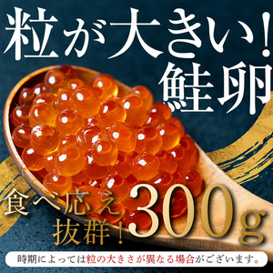 北海道産 鮭 いくら 小分け 300g（100g×3）＜海鮮問屋　株式会社　瑞宝＞ いくら イクラ 小分け 醤油漬け 森町 いくら醤油漬け しょうゆ漬け ふるさと納税 北海道 いくら イクラ 小分け いくら イクラ 小分け いくら イクラ 小分け いくら イクラ 小分け いくら イクラ 小分け いくら イクラ 小分け いくら イクラ 小分け いくら イクラ 小分け いくら イクラ 小分け いくら イクラ 小分け いくら イクラ 小分け いくら イクラ 小分け いくら イクラ 小分け いくら イクラ 小分け いくら イクラ 小分け いくら イクラ 小分け いくら イクラ 小分け いくら イクラ 小分け いくら イクラ 小分け いくら イクラ 小分け いくら イクラ 小分け いくら イクラ 小分け いくら イクラ 小分け いくら イクラ 小分け いくら イクラ 小分け いくら イクラ 小分け mr1-0563