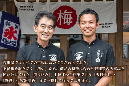 うす塩味梅干 1kg 減塩 昔ながら 老舗 伝統 国産 大洗 大洗町 梅干し 梅干 梅 うめぼし うめ_BM003