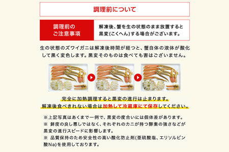 【12月25日決済確定分まで年内発送】カジマ×ますよね！ カット済 生本ずわいがに 1.2kg （600g×2箱） ズワイガニ ズワイ蟹 ずわい かに かに足 蟹足 足 かに脚 蟹脚 脚 かに爪 蟹爪 爪 かに爪下 蟹爪下 爪下 かに肩 蟹肩 肩 かに鍋 蟹鍋 かにしゃぶ 蟹しゃぶ_AF095-2