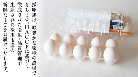 雪平養鶏場 桜川育ちの 新鮮 たまご 合計30個（20個＋10個割れ補償付) たまごかけご飯 玉子 生卵 鶏卵 TKG_DZ001