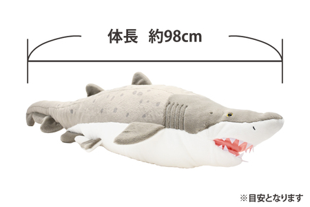 ぬいぐるみ オリジナル シロワニ オス １体 アクアワールド 大洗 限定 グッズ 水族館 さめ サメ 鮫_AQ042