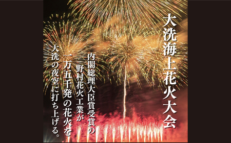 ふるなび限定】ヘリコプター貸切 花火観覧プラン（5名様）【2024年9月28日(土)】大洗海上花火大会 OARAI HANABI FES 花火 花火大会【FN-Limited】_CD030  茨城県大洗町 ふるさと納税サイト「ふるなび」