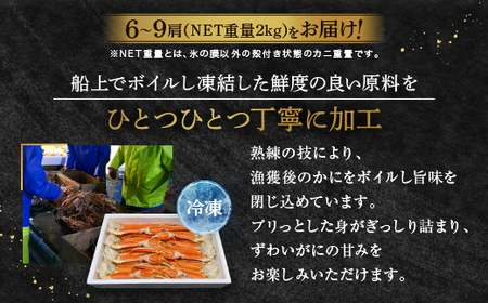 【12月18日決済分年内配送】ずわいがに ボイル済 脚 NET重量 2kg キョクヨー 極洋 ズワイガニ ずわい蟹 ずわい ズワイ 蟹 カニ カニ脚 蟹 脚 足 ボイル 魚介 海鮮 カニ鍋 焼きガニ_AR008