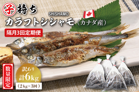 【ふるさと納税】 【定期便】 子持ち カラフトシシャモ ２kg (500g×4袋) 訳アリ シシャモ ししゃも カラフトししゃも 大洗 規格外 訳あり わけあり 傷 半年お届け（2ヶ月に1度 ２kg × 3回 お届け ）_AV020
