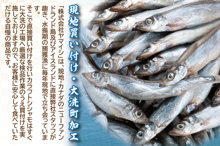 【ふるさと納税】 【定期便】 子持ち カラフトシシャモ ２kg (500g×4袋) 訳アリ シシャモ ししゃも カラフトししゃも 大洗 規格外 訳あり わけあり 傷 半年お届け（2ヶ月に1度 ２kg × 3回 お届け ）_AV020