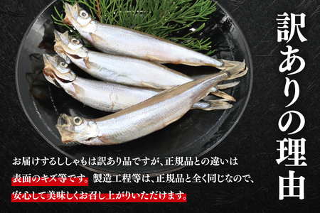 【ふるさと納税】 【定期便】 子持ち カラフトシシャモ ２kg (500g×4袋) 訳アリ シシャモ ししゃも カラフトししゃも 大洗 規格外 訳あり わけあり 傷 半年お届け（2ヶ月に1度 ２kg × 3回 お届け ）_AV020