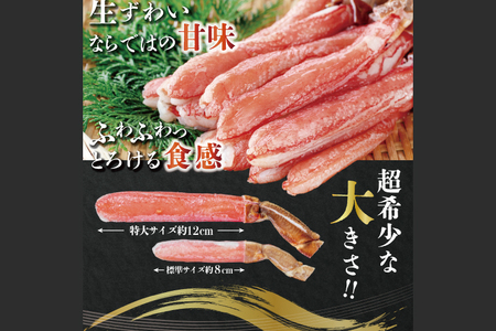 【12月25日決済確定分まで年内発送】カット済 生本ずわい蟹 棒肉ポーション 500g (希少10Lサイズ・9本〜11本入) ＜ 生食OK ＞ ＜ 殻剥き不要 ＞ ＜ 数量限定 ＞ 生ずわいがに 本ずわいがに かに 蟹 ずわいがに ずわい蟹 生冷ずわい蟹 生ずわい ずわい 棒ポーション ポーション 棒肉 むき身 かにしゃぶ しゃぶしゃぶ かに鍋 鍋 かに刺し 刺身 生 生食 魚介 海鮮_AF109