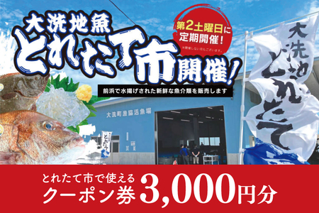 大洗地魚とれたて市クーポン券 3,000円分 (1,000円分×3) 地魚 鮮魚 活魚 朝獲れ 魚介類 漁協 大洗産 大洗 チケット_BQ017
