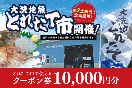 大洗地魚とれたて市クーポン券 10,000円分 (1,000円分×10) 地魚 鮮魚 活魚 朝獲れ 魚介類 漁協 大洗産 大洗 チケット_BQ019