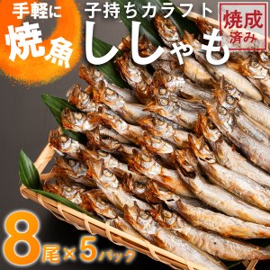 手軽に焼魚 カラフトししゃも 加熱調理済み 40尾（8尾×5袋） 干物 シシャモ 魚 さかな 惣菜 そうざい つまみ 工場直送