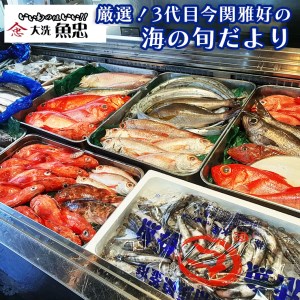 AS004_お届けします！！ 「大洗魚忠」u201d厳選！3代目今関雅好の海の旬だ 