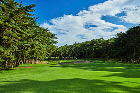 【倶楽部会員限定】 大洗ゴルフ倶楽部 平日プレー券(ビジター用) ゴルフ場 利用券_AT002