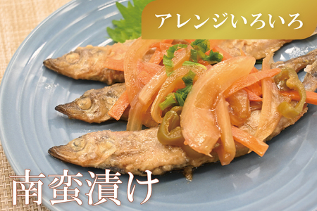 ししゃも 子持ち カラフトシシャモ 特大 40尾（20尾×2箱） 子持ちシシャモ カラフトししゃも 大洗_AV001