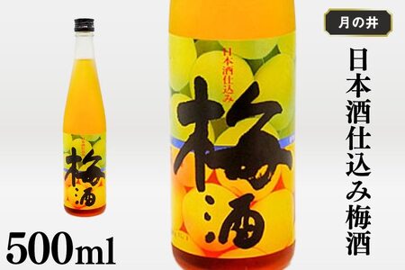 日本酒 仕込み 梅酒 月の井 500ml 大洗 地酒 国産梅 低糖_AW014