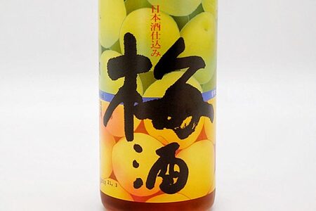 日本酒 仕込み 梅酒 月の井 500ml 大洗 地酒 国産梅 低糖_AW014