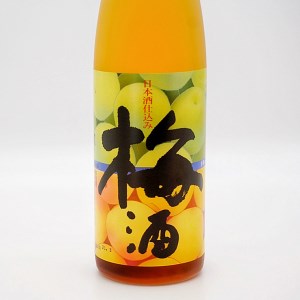 日本酒 仕込み 梅酒 恋梅720ml 梅酒 500ml 2本 セット 月の井 大洗 地酒 国産梅 飲み比べ 茨城