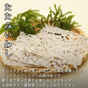 いか一夜干し たたみいわし セット おつまみ 酒の肴 いか いわし 魚介 珍味 イカ 茨城県大洗町 ふるさと納税サイト ふるなび