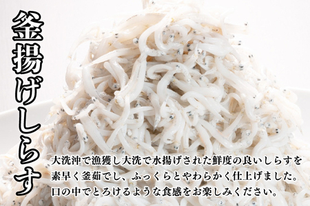 定期便 釜揚げしらす (1kg×2か月)  しらす _AG040