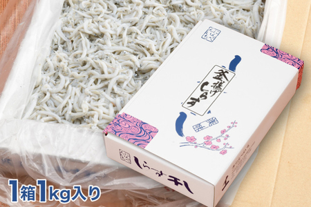 定期便 釜揚げしらす (1kg×2か月)  しらす _AG040