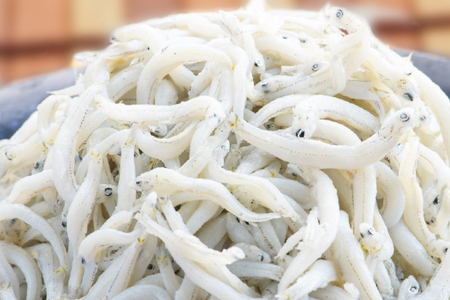 定期便 釜揚げしらす (1kg×2か月)  しらす _AG040