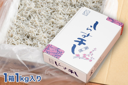 定期便 しらす干し (1kg×3か月) しらす _AG052