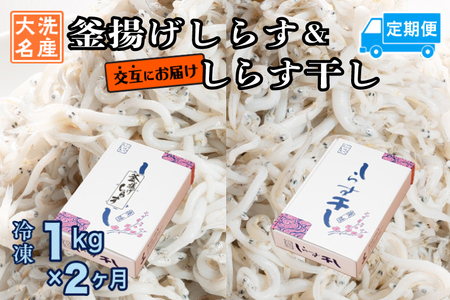 釜揚げしらす しらす干し 交互 定期便 (1kg×2か月) しらす _AG062
