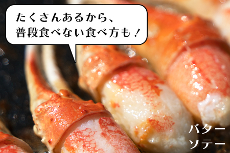 【12月25日決済確定分まで年内発送】生冷 本ずわいがに 爪 500g×1 カジマ ずわい蟹 ズワイガニ ずわいがに かに カニ 蟹 かに爪 カニ爪 蟹爪_AF012