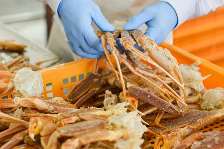 カット済み ボイル たらばがに 1.5kg (500g × 3) カジマ たらば蟹 タラバガニ かに カニ 蟹 脚 鍋 冷凍 たらばがに たらば蟹 タラバガニ かに カニ 蟹 たらばがに 冷凍 たらば蟹 冷凍 タラバガニ 冷凍 かに 冷凍 カニ 冷凍 蟹 冷凍 たらばがに 脚 たらば蟹 脚 タラバガニ 脚 かに 脚 カニ 脚 蟹 脚 たらばがに 鍋 たらば蟹 鍋 タラバガニ 鍋 かに 鍋 カニ 鍋 蟹 鍋 たらばがに たらば蟹 タラバガニ かに カニ 蟹 たらばがに 冷凍 たらば蟹 冷凍 タラバガニ 冷凍 かに 冷凍 カニ 冷凍 蟹 冷凍 たらばがに 脚 たらば蟹 脚 タラバガニ 脚 かに 脚 カニ 脚 蟹 脚 たらばがに 鍋 たらば蟹 鍋 タラバガニ 鍋 かに 鍋 カニ 鍋 蟹 鍋 たらばがに たらば蟹 タラバガニ かに カニ 蟹 たらばがに 冷凍 たらば蟹 冷凍 タラバガニ 冷凍 かに 冷凍 カニ 冷凍 蟹 冷凍 たらばがに 脚 たらば蟹 脚 タラバガニ 脚 かに 脚 カニ 脚 蟹 脚 たらばがに 鍋 たらば蟹 鍋 タラバガニ 鍋 かに 鍋 カニ 鍋 蟹 鍋 _AF022