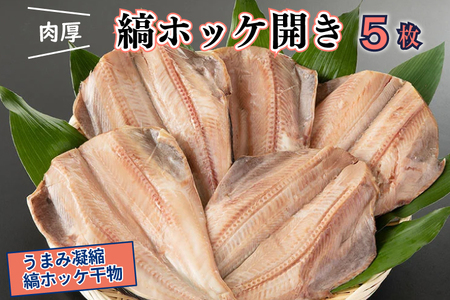 干物 縞ホッケ開き 5枚 特大 肉厚 カジマ ほっけ 縞ほっけ ホッケ