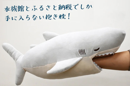 ホホジロザメ 抱き枕 アクアワールド 大洗 オリジナル かむかむズ ぬいぐるみ サメ グッズ 茨城 水族館 さめ 鮫 限定_AQ011