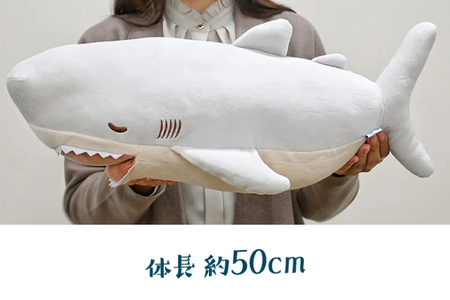 ホホジロザメ 抱き枕 アクアワールド 大洗 オリジナル かむかむズ ぬいぐるみ サメ グッズ 茨城 水族館 さめ 鮫 限定_AQ011