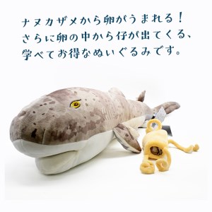 ぬいぐるみ ナヌカザメ アクアワールド 大洗 オリジナル サメ 親子 グッズ 茨城 水族館 さめ 鮫 限定_AQ012