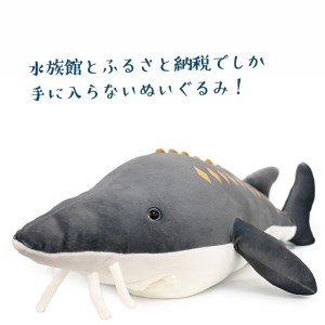 ぬいぐるみ ガブっとチョウザメ アクアワールド 大洗 オリジナル チョウザメ サメ グッズ 茨城 水族館 さめ 鮫 限定 茨城県大洗町 ふるさと納税サイト ふるなび