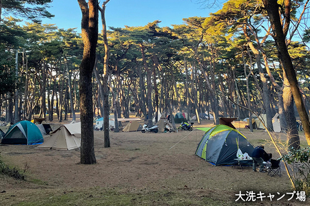 大洗 キャンプ場 クーポン券 6000円分（1000円×6枚） 大洗サンビーチキャンプ場 大洗キャンプ場 チケット 利用券 アウトドア 旅行_CC002