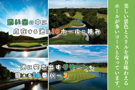 太平洋クラブ大洗シャーウッドコース 利用券 15,000円分 (3,000円×5枚) ゴルフ コース 全日利用可 ゴルフ場 大洗 茨城 プレー券_BH004