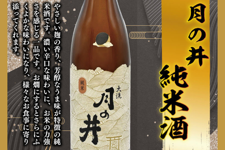 日本酒 純米酒 月の井 720ml 辛口 大洗 地酒 つきのい_AW053