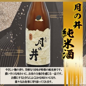 純米酒 720ml 純米吟醸 続撃破率百二十% 720ml 2本 セット ガルパン コラボ 月の井 大洗 地酒 茨城 ガールズ & パンツァー_AW067